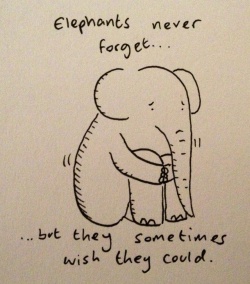 elephants never forget
