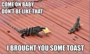 lizard toast baby