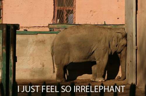 irrelephant